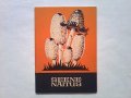 エストニア　  きのこ冊子　 SEENE-NAITUS 　　1976年  　オレンジ