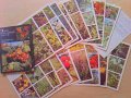 【SALE】ロシア　　植物カード　 18枚セット　　1988年