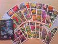 【SALE】ロシア　　植物カード　 18枚セット　　1987年