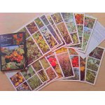 画像: 【SALE】ロシア　　植物カード　 18枚セット　　1988年