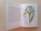 画像: チェコ　　植物図鑑  　lecivych rostlin　　1986年
