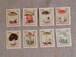 画像1: 東ドイツ　　きのこ切手　　　未使用　　　８枚セット　　　1974年　