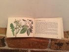 画像: 【再入荷】チェコスロヴァキア　 ミニ植物図鑑　Nase jedovate rostliny    1984年