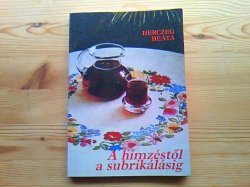 画像1: 【SALE】   ハンガリー　 刺しゅう本（HERCZEG BEATA) 　　1988年